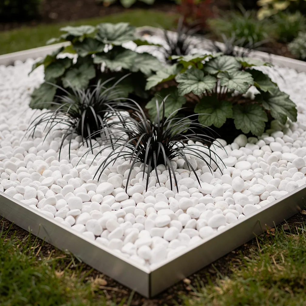 Massif de plantes avec tapis de galets blancs contrastant avec feuillages sombres