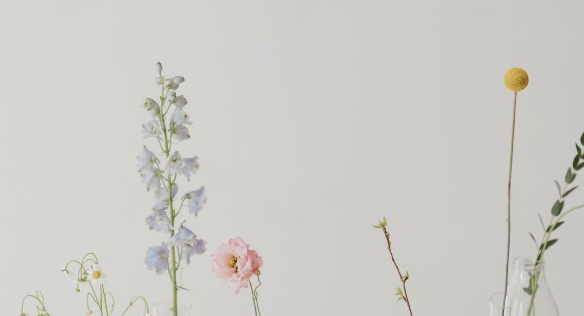 Tiges de fleurs variees disposees dans des vases en verre transparent